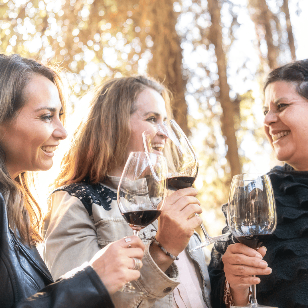 Visita Bodega y Cata Premium